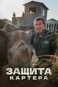 Защита Картера