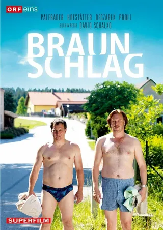 Постер Брауншлаг (2012)