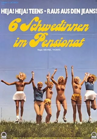 Постер Шесть шведок в пансионате (1979)