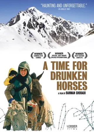 Постер Время пьяных лошадей (2000)