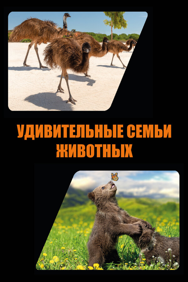 Постер сериала Удивительные семьи животных