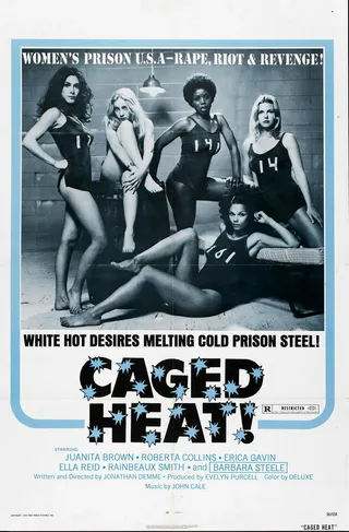 Постер Страсть за решеткой (1974)