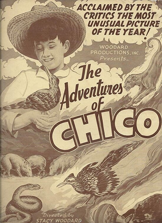 Постер фильма The Adventures of Chico