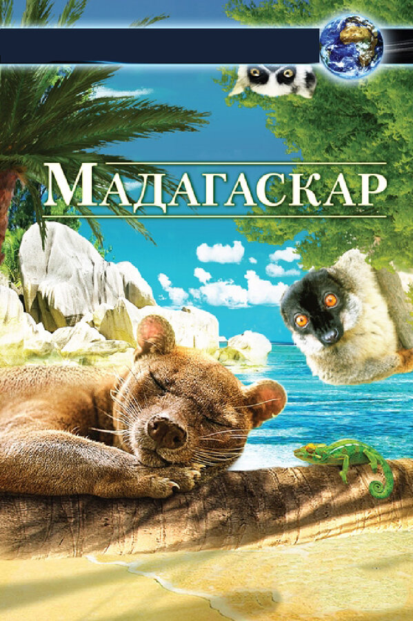 Постер фильма Мадагаскар 3D