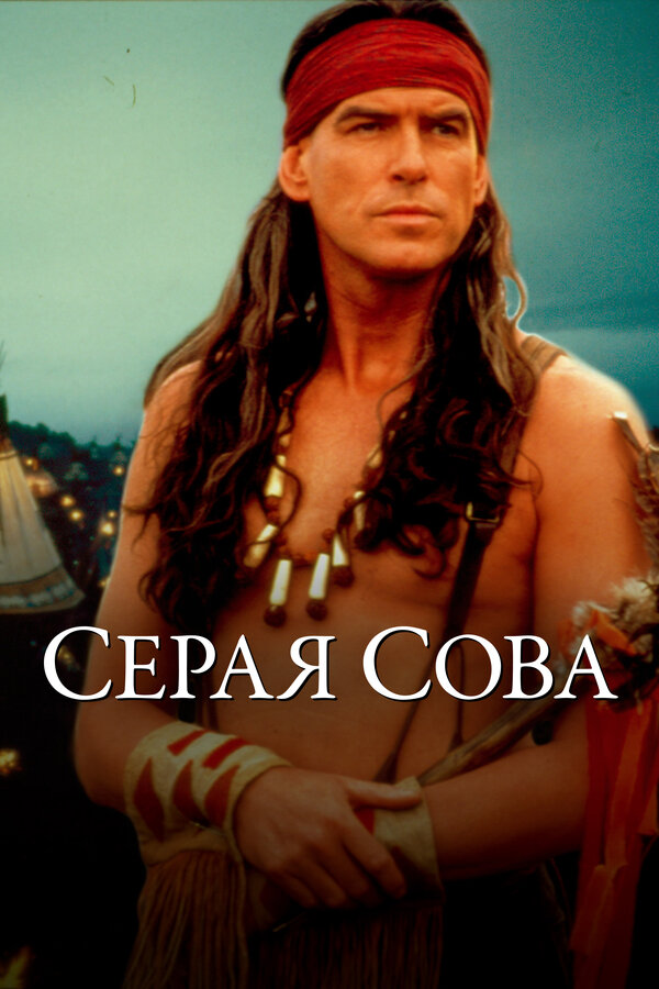 Постер фильма Серая сова