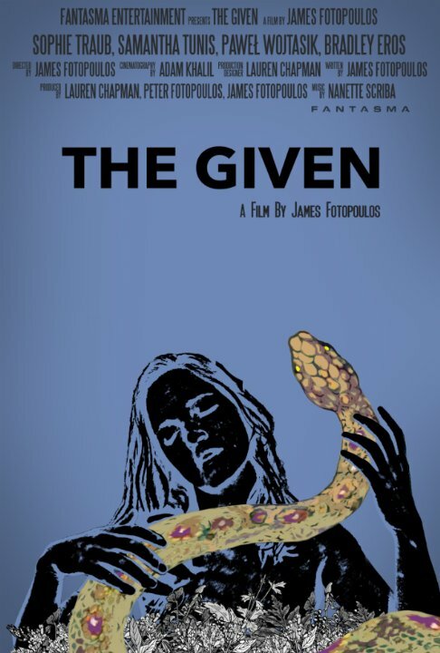 Постер фильма The Given