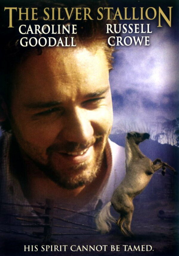 Постер фильма Серебряный ветер