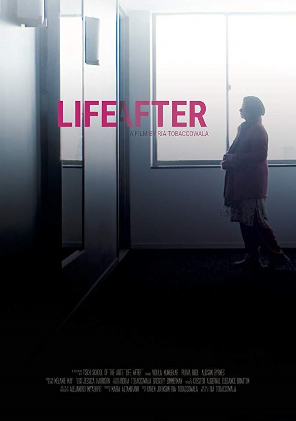 Постер фильма Life After