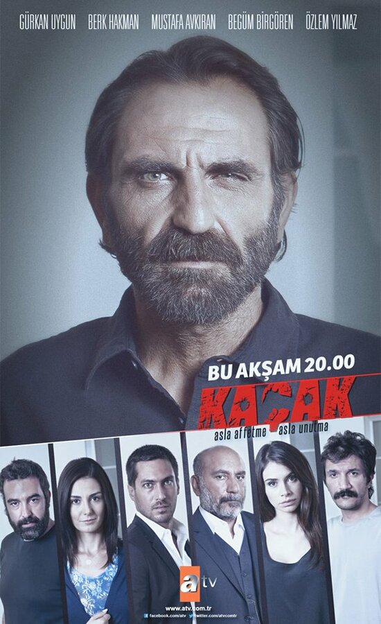 Постер сериала Беглец
