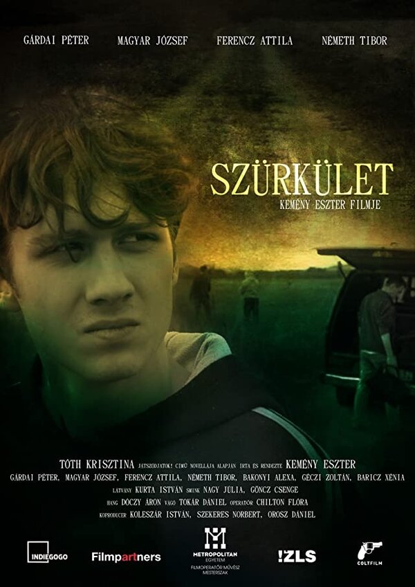 Постер фильма Szürkület
