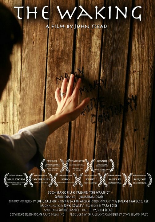 Постер фильма The Waking