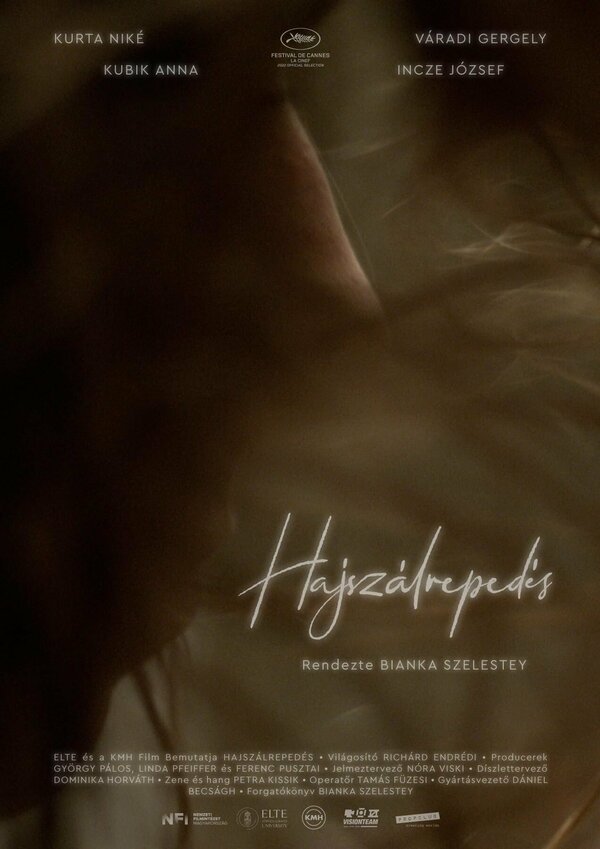 Постер фильма Hajszálrepedés