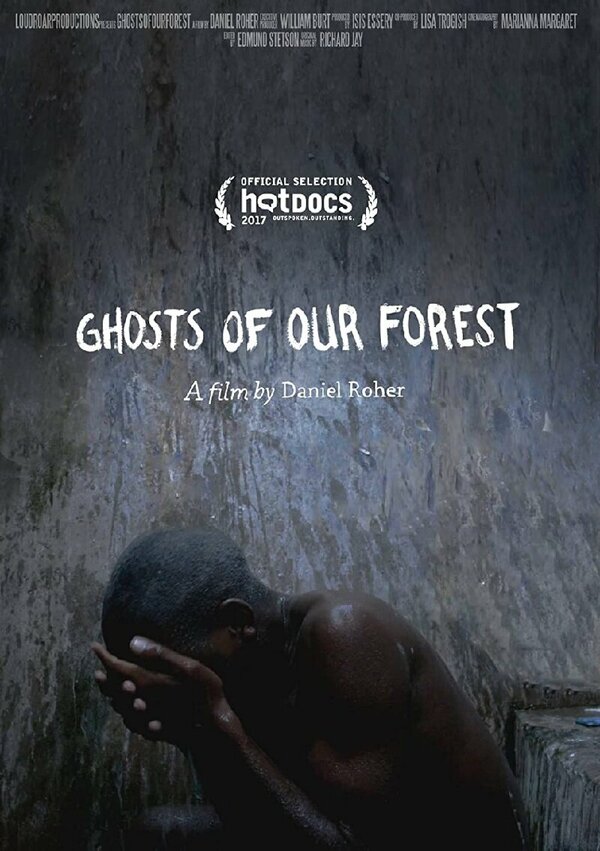 Постер фильма Ghosts of our Forest
