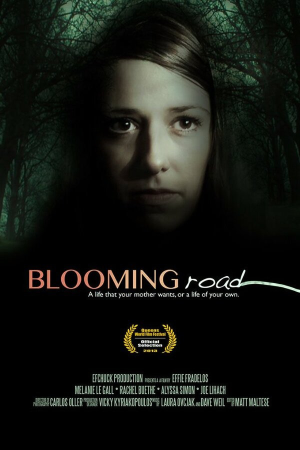Постер фильма Blooming Road