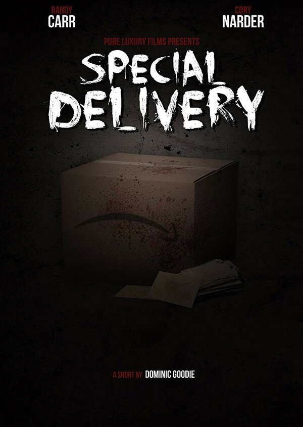Постер фильма Special Delivery