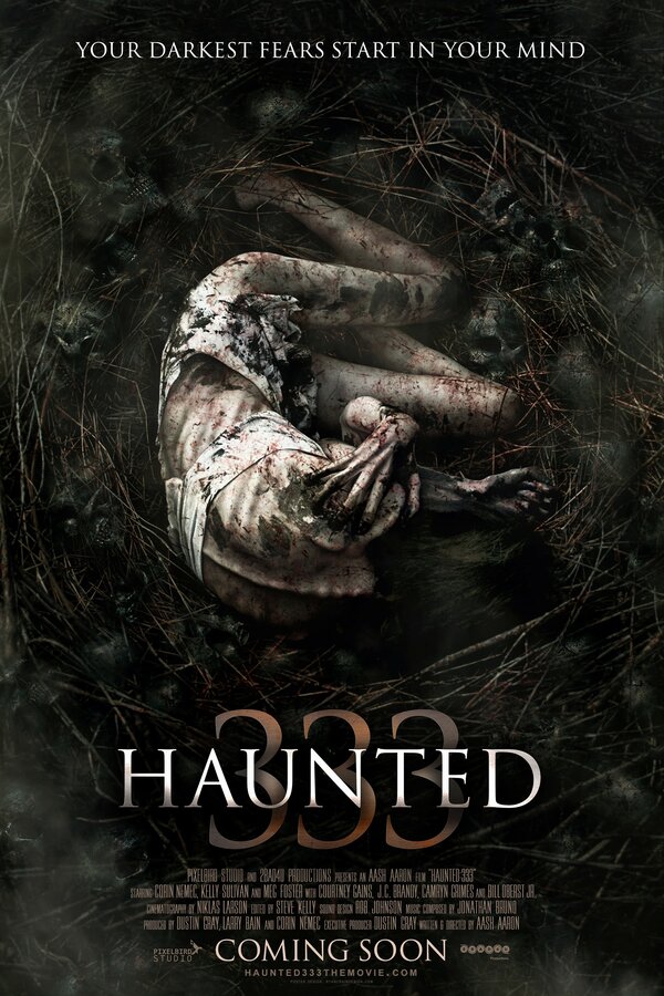 Постер фильма Haunted: 333