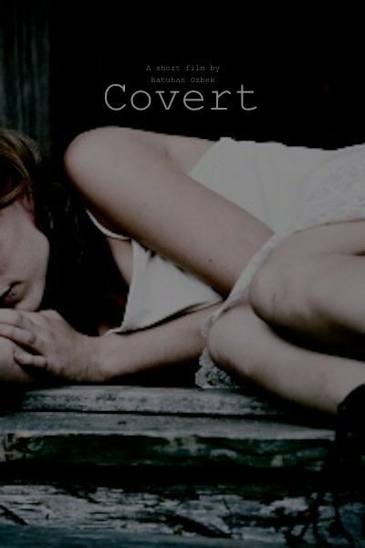 Постер фильма Covert