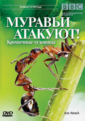 Постер фильма BBC: Муравьи атакуют
