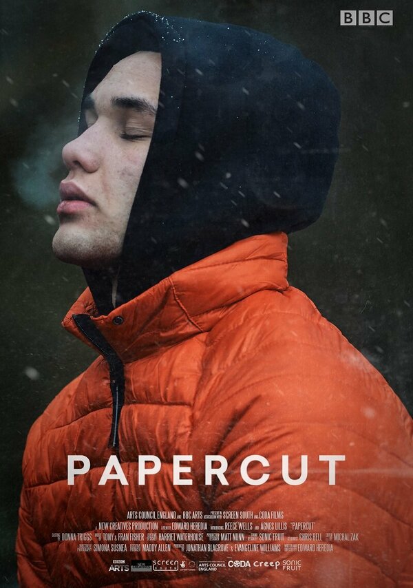 Постер фильма Papercut