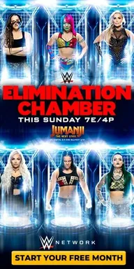 WWE Камера ликвидации