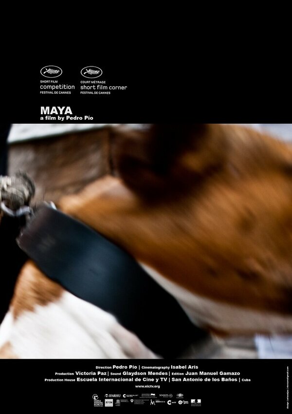 Постер фильма Maya