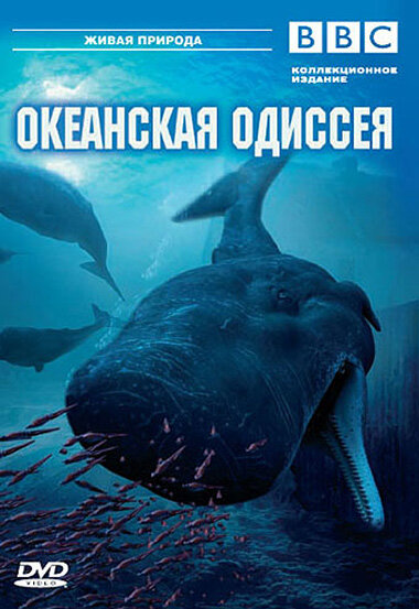 Постер фильма BBC: Океанская одиссея
