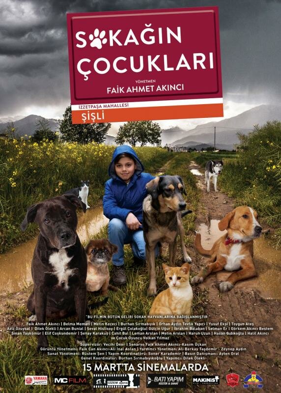 Постер фильма Sokagin Çocuklari