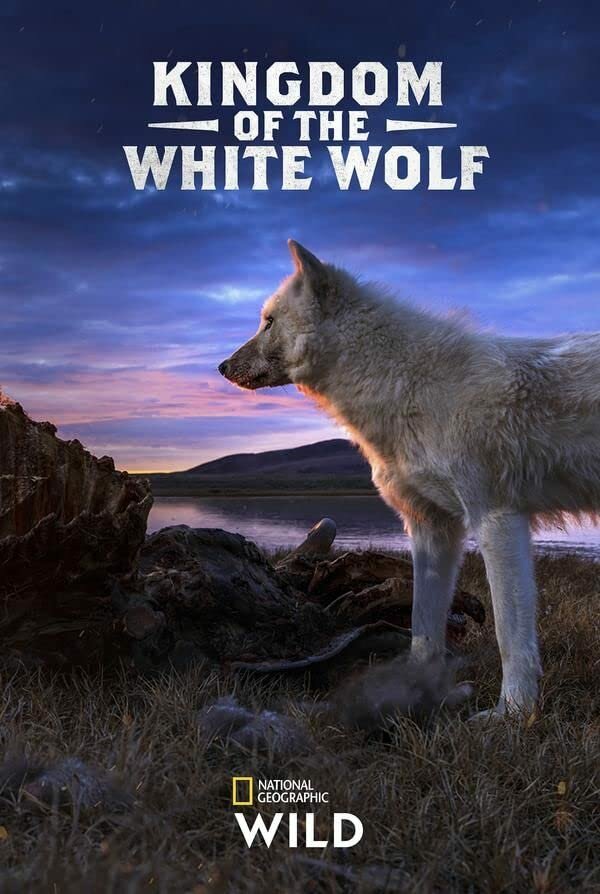 Постер сериала Королевство белого волка
