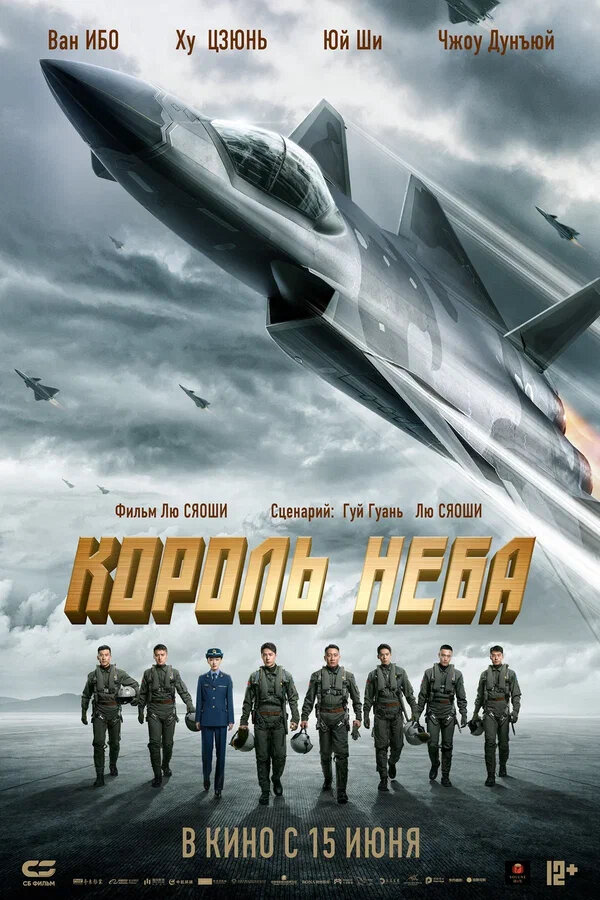 Постер фильма Король неба
