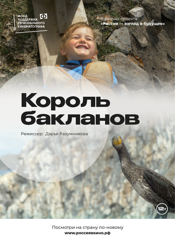 Постер фильма Король бакланов