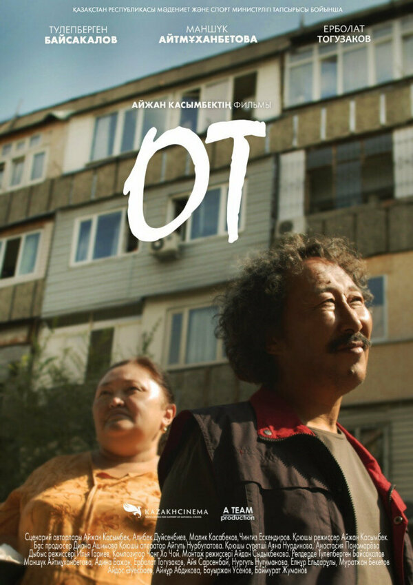 Постер фильма Огонь