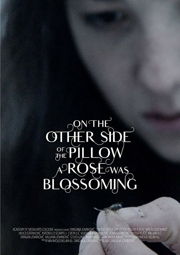 Постер фильма On the Other Side of the Pillow a Rose Was Blossoming