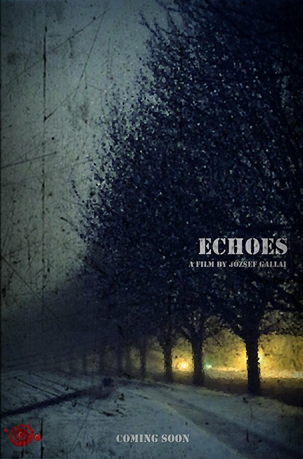 Постер фильма Echoes