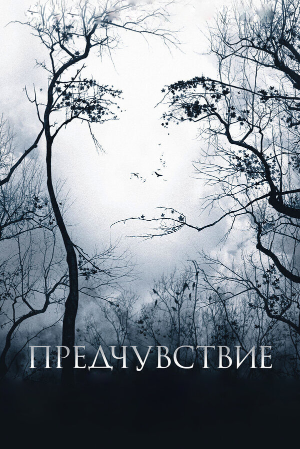 Постер фильма Предчувствие