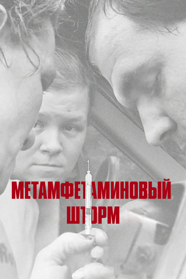 Постер фильма Метамфетаминовый шторм