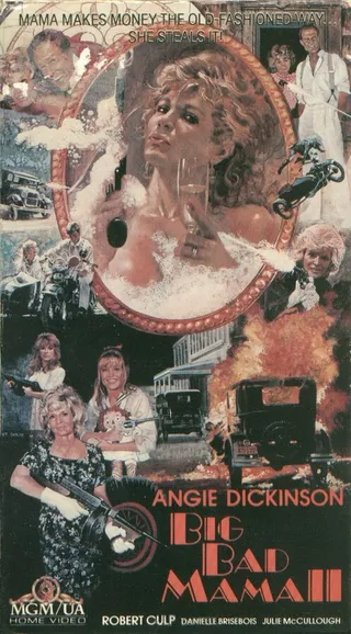 Постер Нехорошая мамаша 2 (1987)