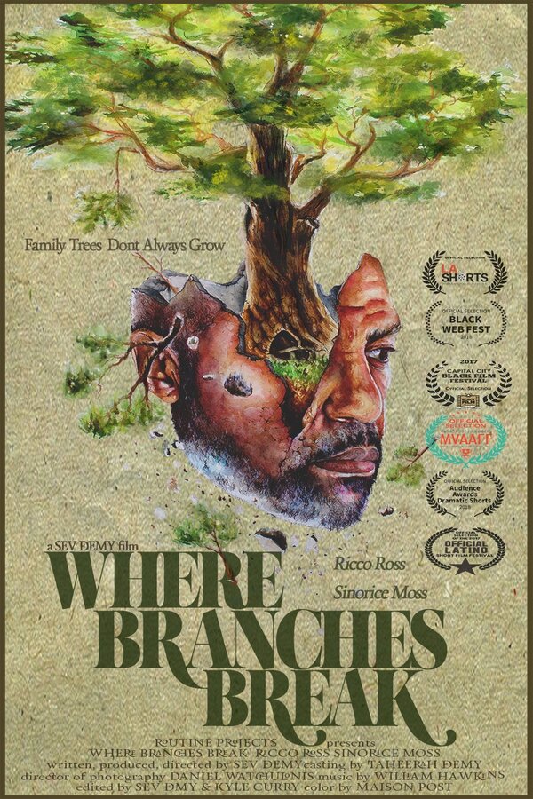 Постер фильма Where Branches Break