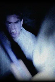 Just the Vampire Hunter