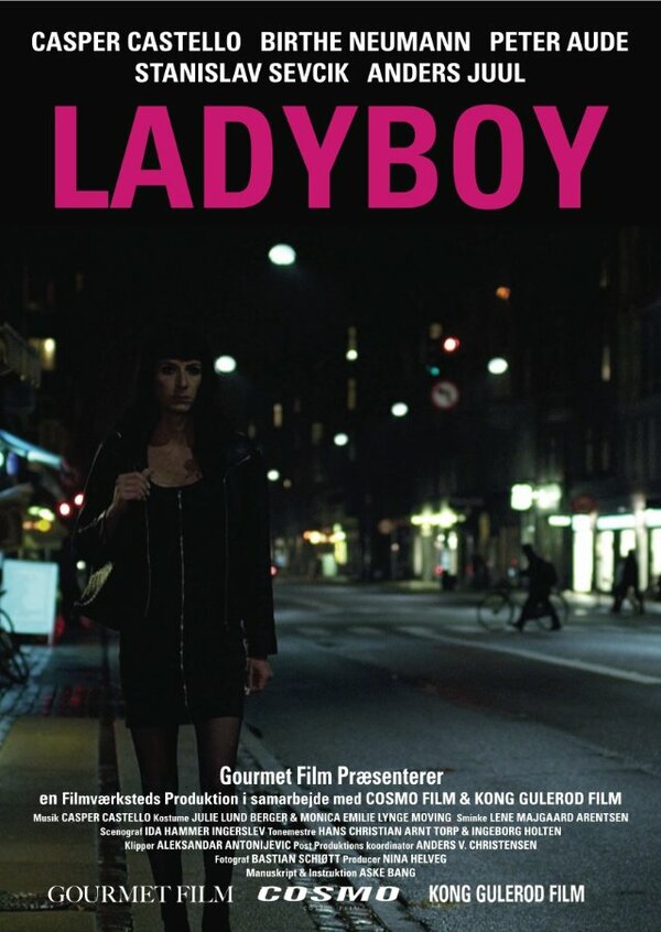 Постер фильма Ladyboy