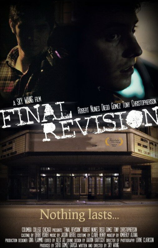 Постер фильма Final Revision