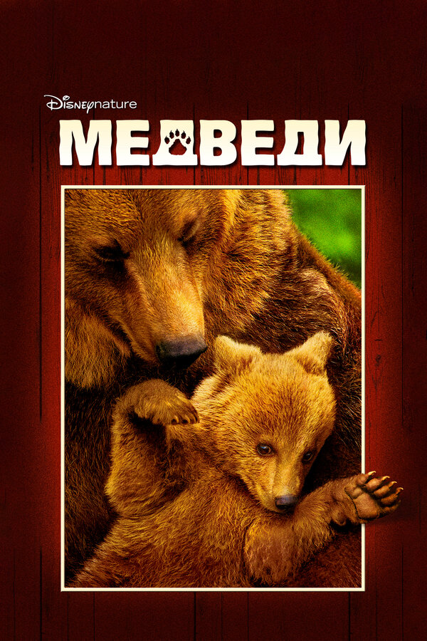 Постер фильма Медведи