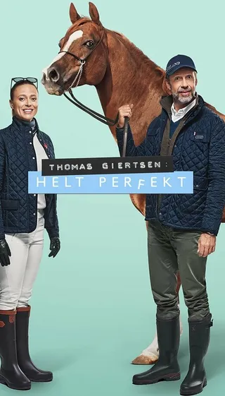 Постер Helt perfekt (2011)