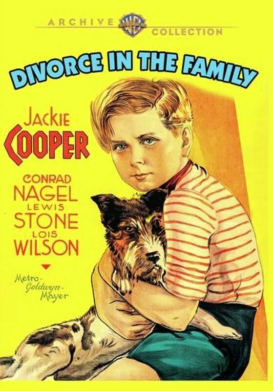 Постер фильма Развод в семье