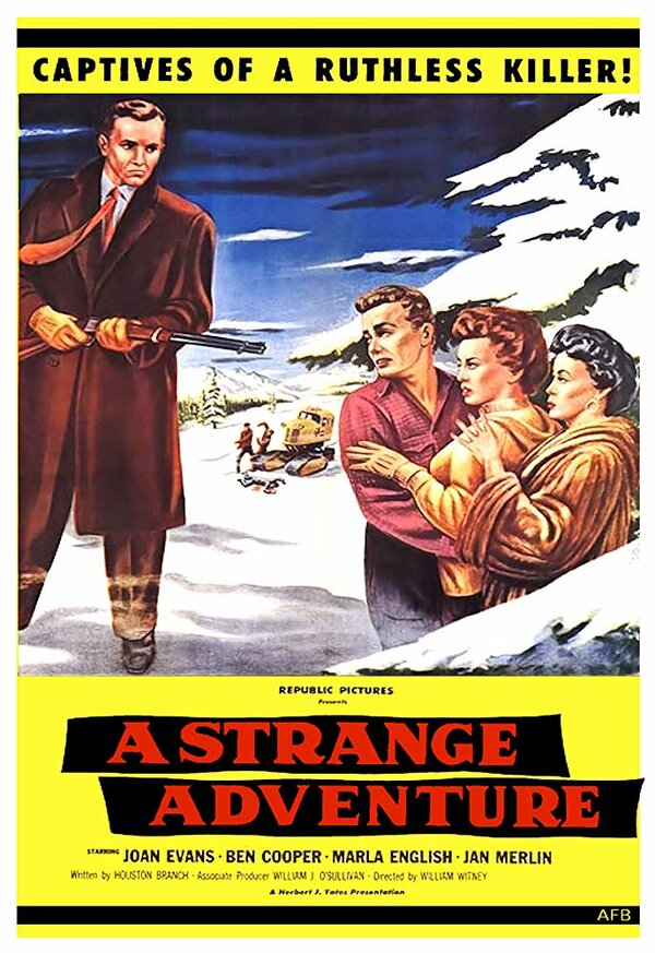 Постер фильма A Strange Adventure