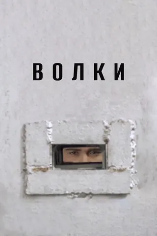 Постер Волки (2006)