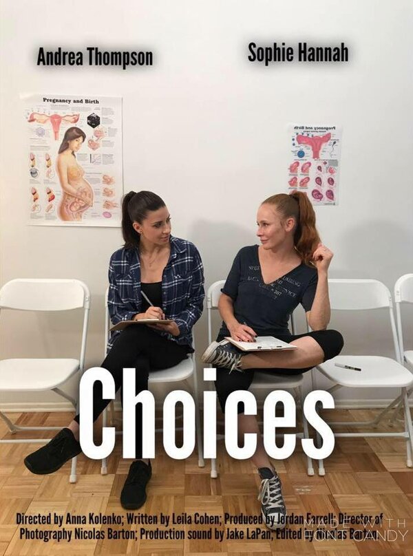 Постер фильма Choices