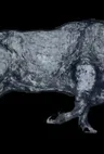 Моло Алькосер Делано