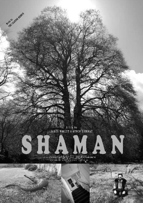 Постер фильма Shaman