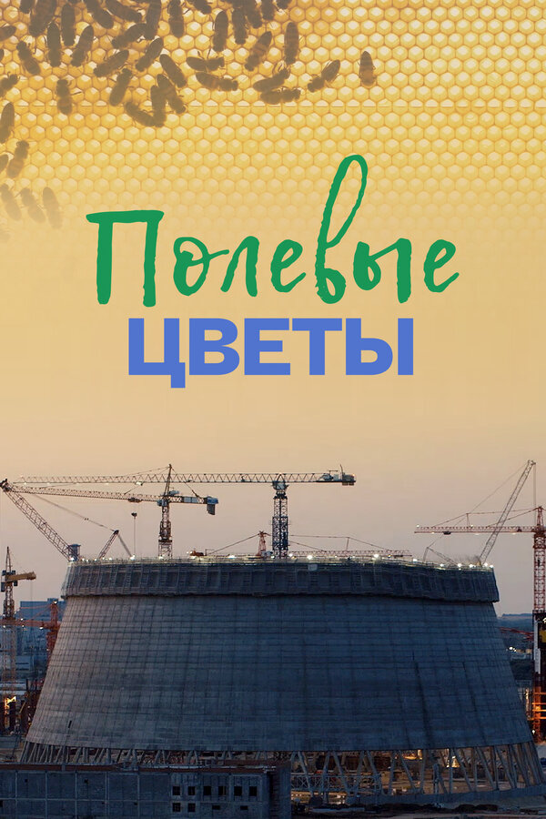 Постер фильма Полевые цветы