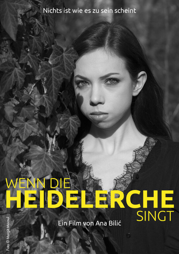 Постер фильма Wenn die Heidelerche singt